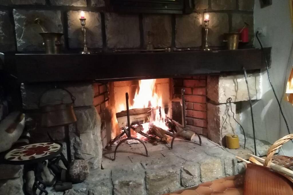 Stari Slankamen Villa Kornelija מראה חיצוני תמונה