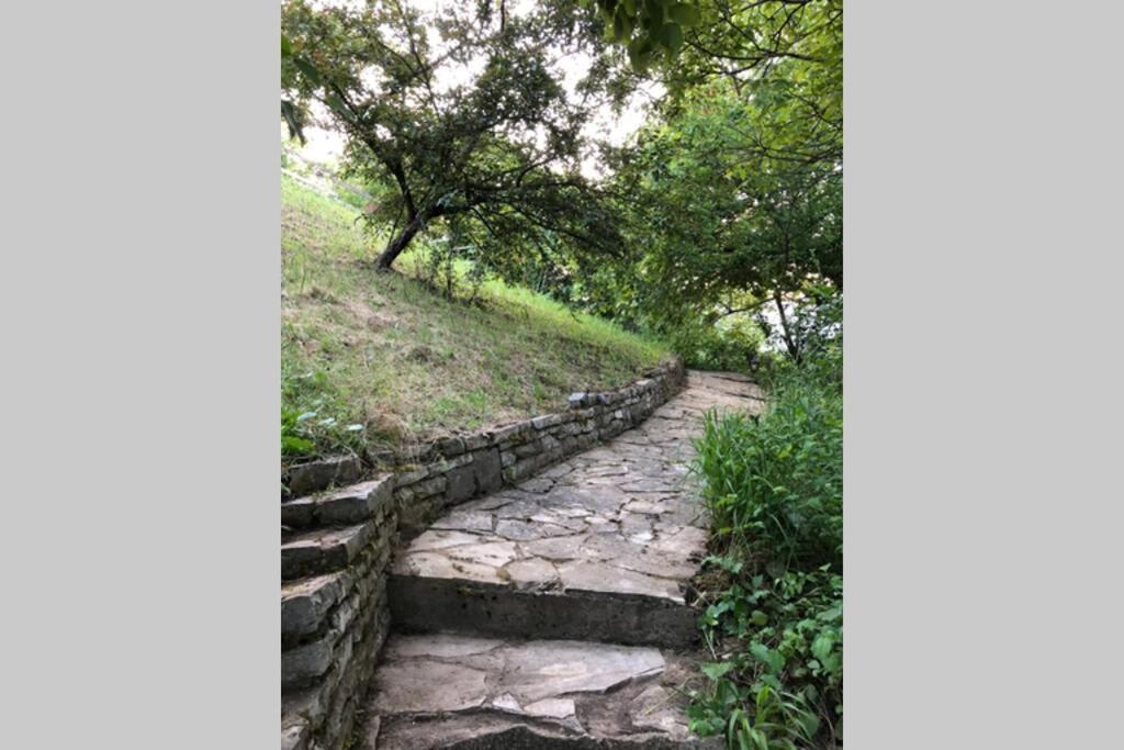 Stari Slankamen Villa Kornelija מראה חיצוני תמונה