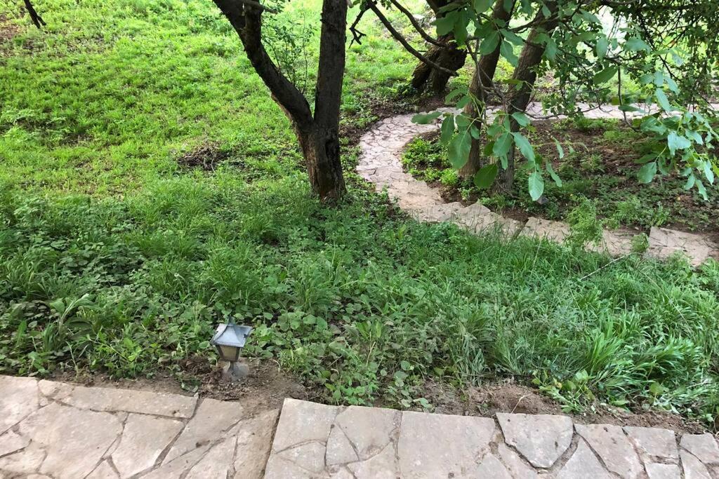 Stari Slankamen Villa Kornelija מראה חיצוני תמונה