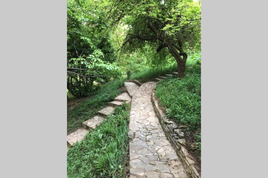 Stari Slankamen Villa Kornelija מראה חיצוני תמונה