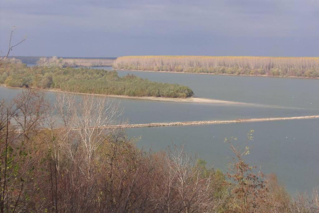 Stari Slankamen Villa Kornelija מראה חיצוני תמונה