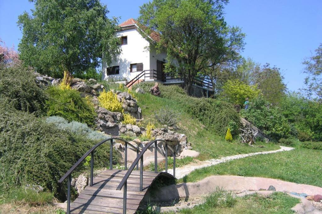 Stari Slankamen Villa Kornelija מראה חיצוני תמונה