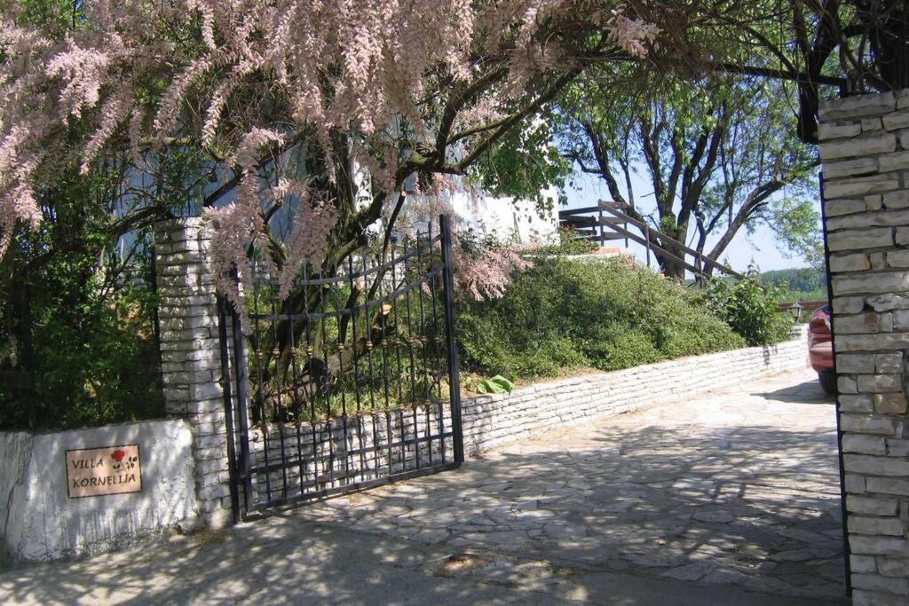 Stari Slankamen Villa Kornelija מראה חיצוני תמונה