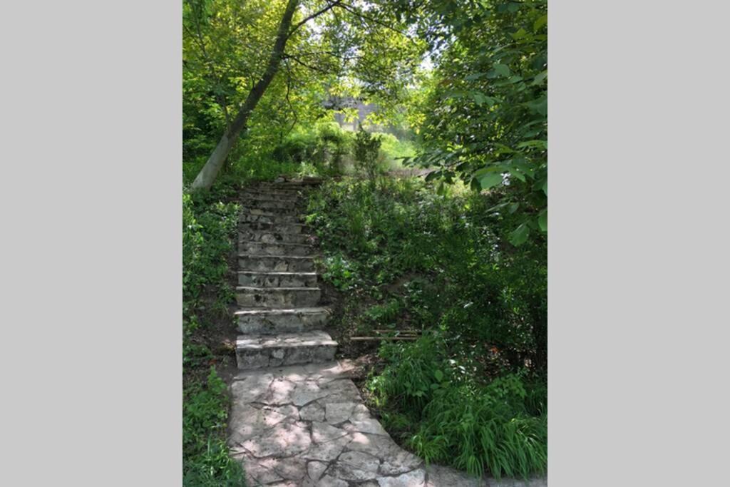 Stari Slankamen Villa Kornelija מראה חיצוני תמונה