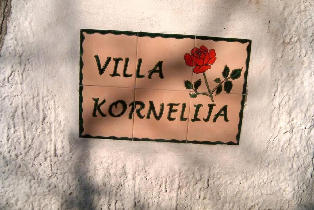 Stari Slankamen Villa Kornelija מראה חיצוני תמונה