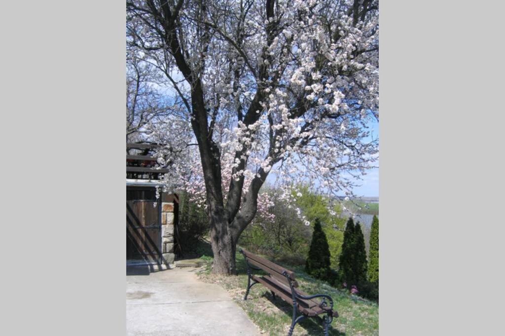 Stari Slankamen Villa Kornelija מראה חיצוני תמונה